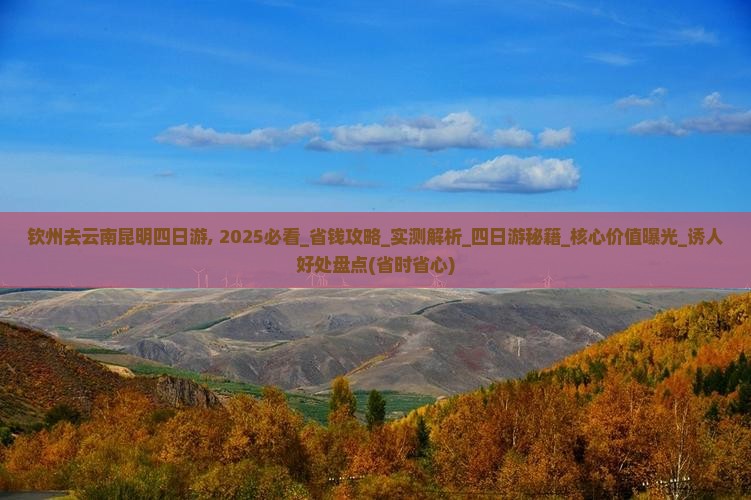 钦州去云南昆明四日游