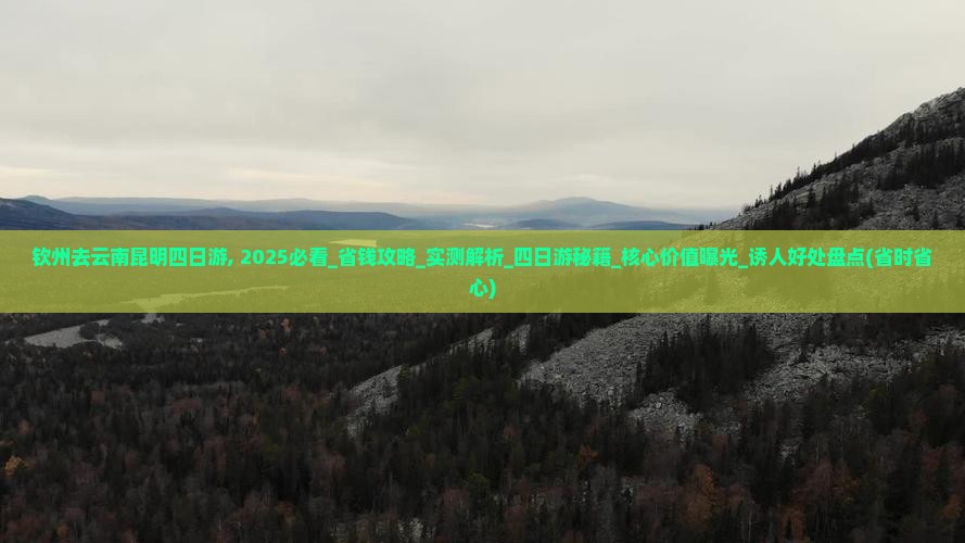 钦州去云南昆明四日游