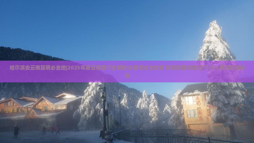 哈尔滨去云南昆明必去地
