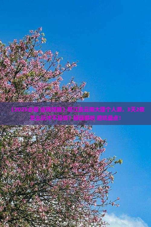 怒江去云南大理个人游