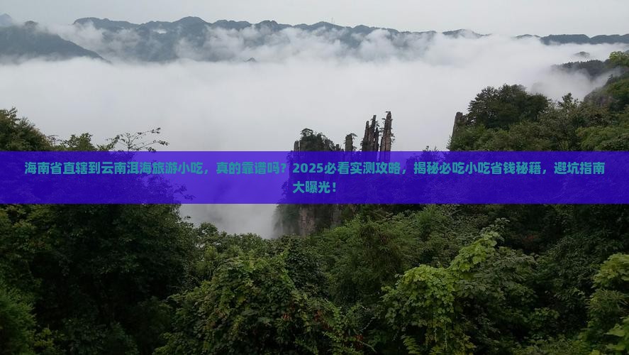 海南省直辖到云南洱海旅游小吃