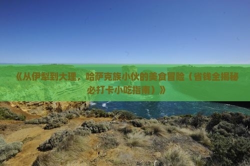 伊犁哈萨克去云南大理旅游小吃