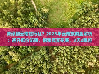 菏泽到云南旅行社