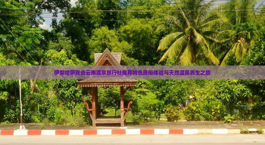 伊犁哈萨克去云南温泉旅行社