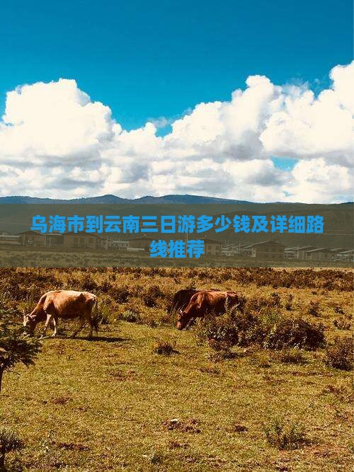 乌海市到云南三日游
