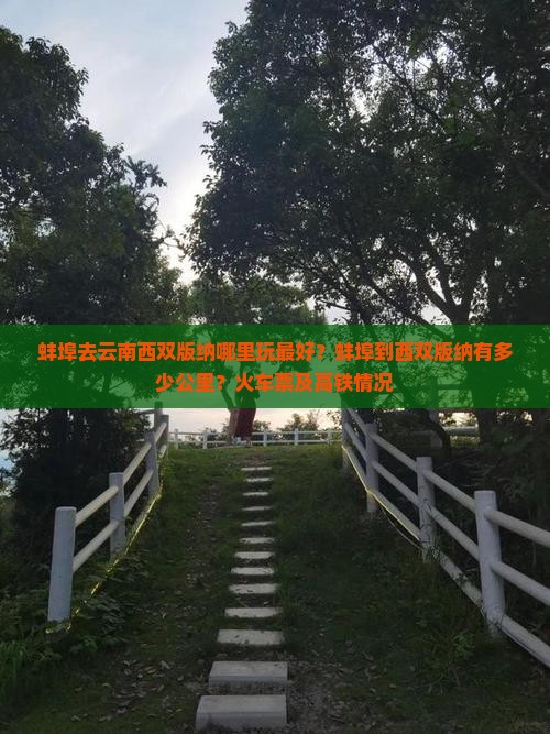 蚌埠去云南西双版纳哪里玩
