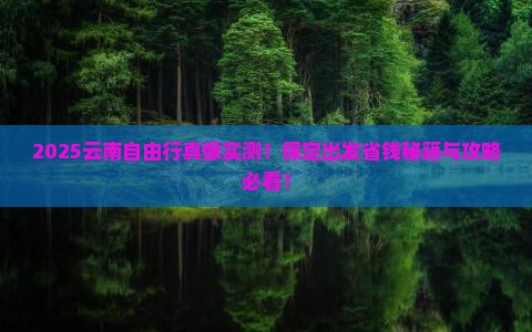 保定去云南自由团