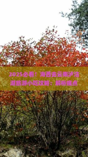 海西去云南泸沽湖旅游小吃