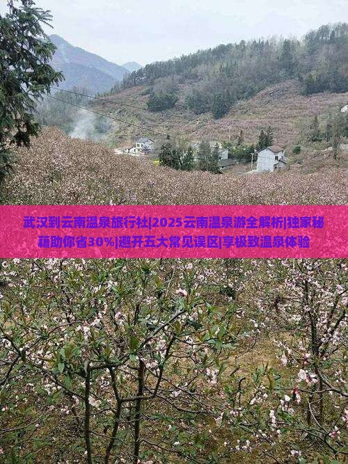 武汉到云南温泉旅行社