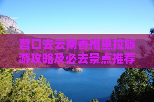 营口去云南香格里拉一日