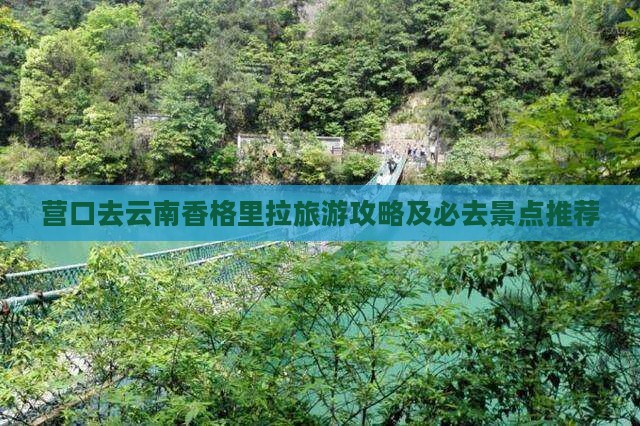 营口去云南香格里拉一日
