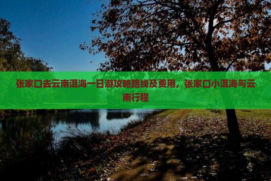 张家口去云南洱海一日
