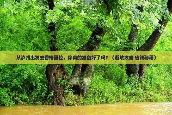 泸州到云南香格里拉个人游