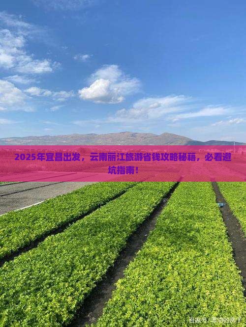 宜昌到云南丽江旅游