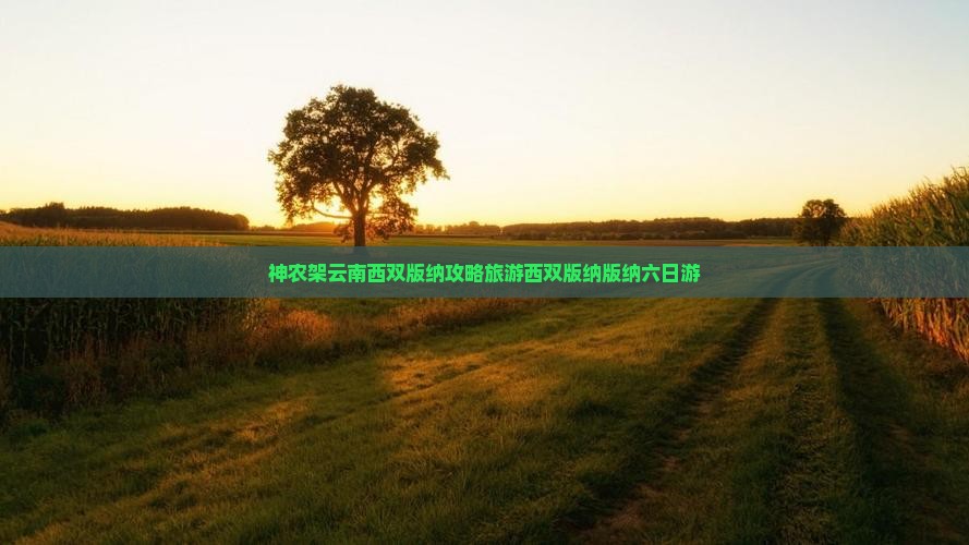 神农架去云南西双版纳六日游