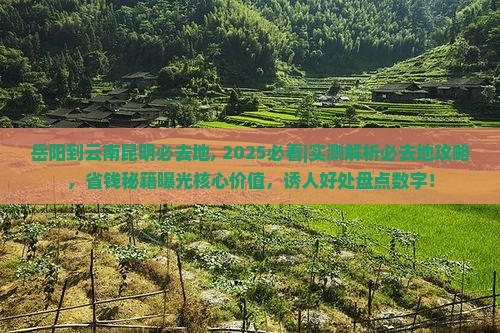 岳阳到云南昆明必去地