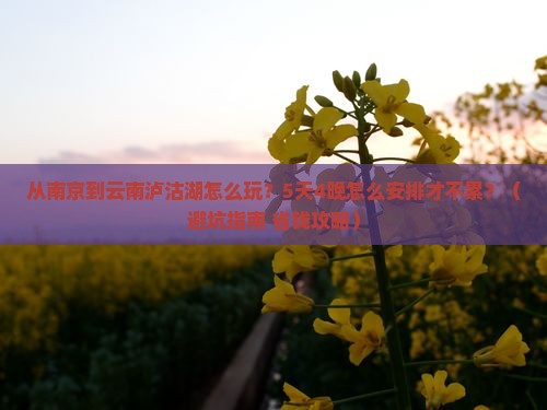 南京到云南泸沽湖哪里玩