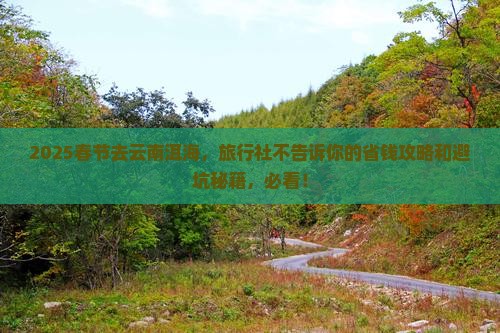 春节去云南洱海旅行社