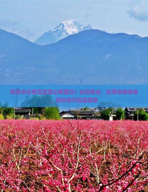 阳泉去云南玉龙雪山哪里玩