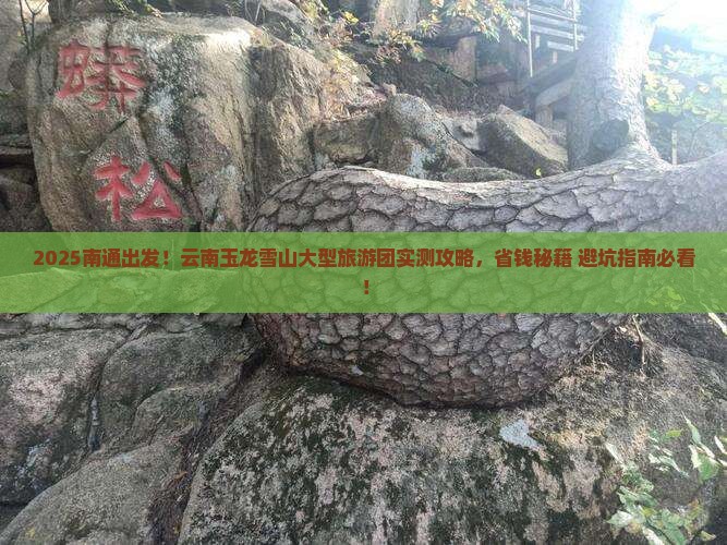 南通到云南玉龙雪山大型旅游团