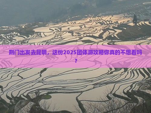荆门去云南昆明团体旅游