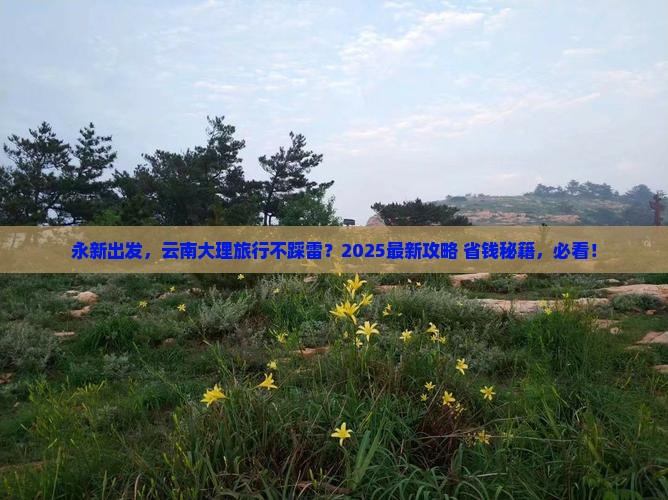 永新到云南大理哪里玩