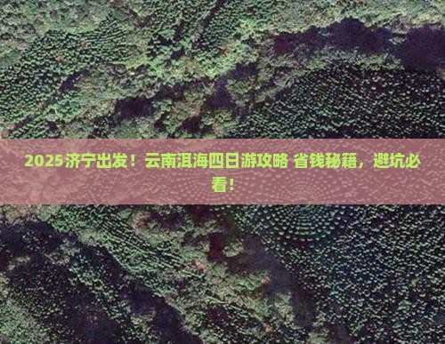 济宁去云南洱海四日游
