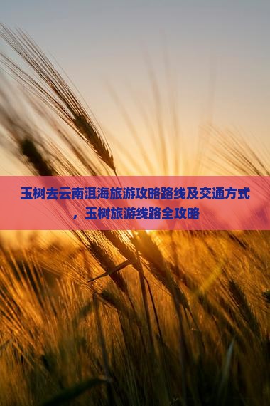 玉树去云南洱海旅游