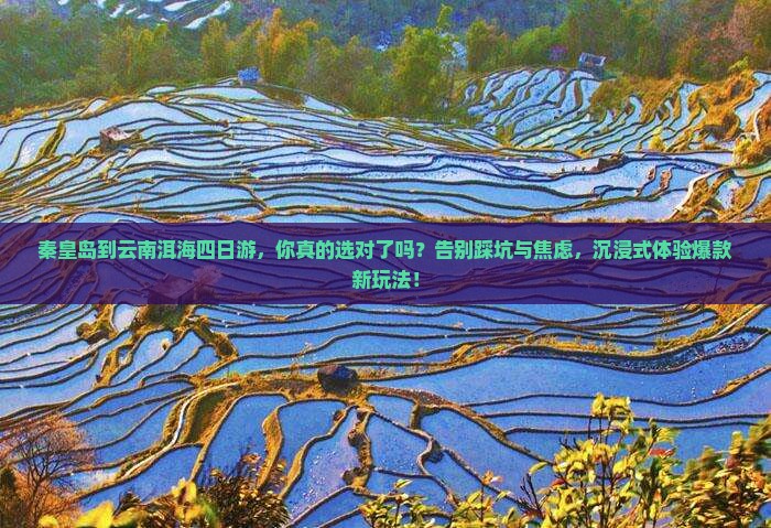 秦皇岛到云南洱海四日游