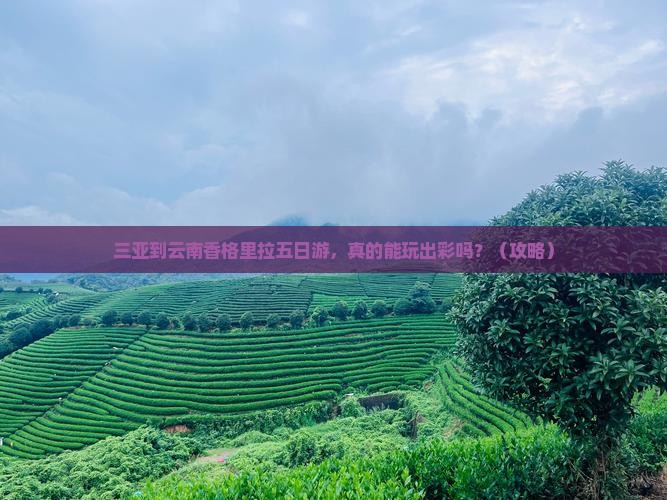 三亚到云南香格里拉五日游