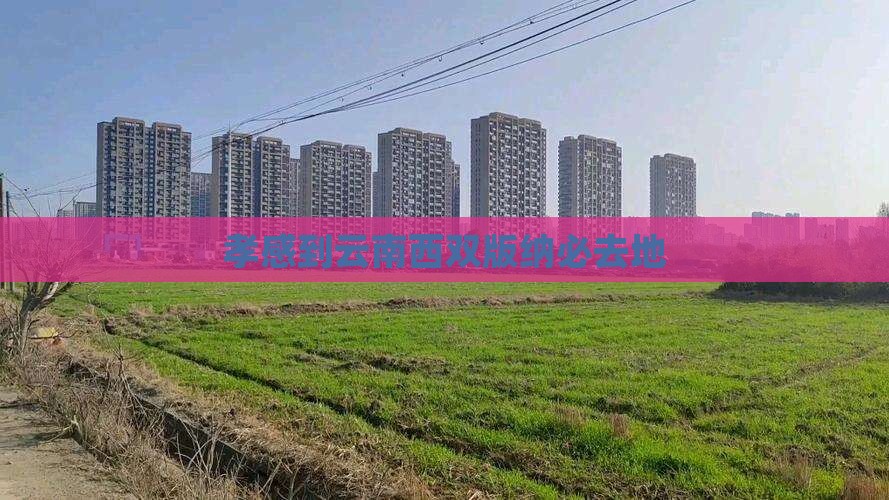 孝感到云南西双版纳必去地