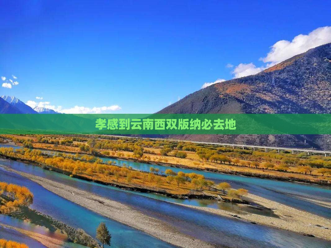 孝感到云南西双版纳必去地
