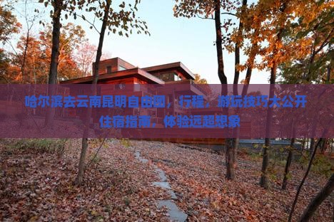 哈尔滨去云南昆明自由团