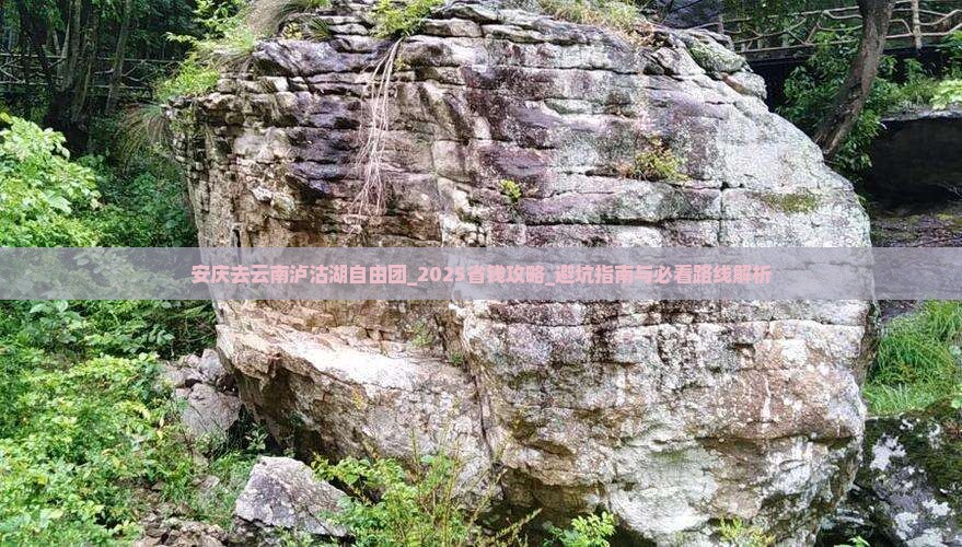安庆去云南泸沽湖自由团