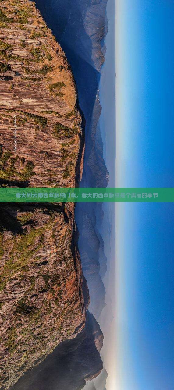 春天到云南西双版纳门票