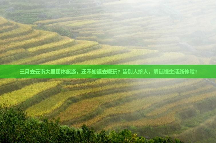 三月去云南大理团体旅游
