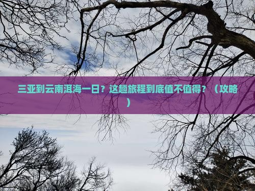 三亚到云南洱海一日