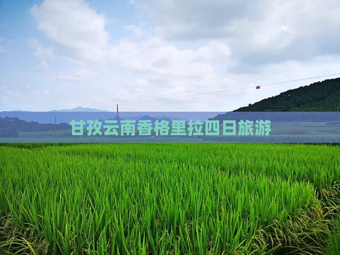 甘孜去云南香格里拉四日游