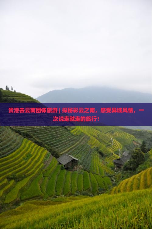 贵港去云南团体旅游