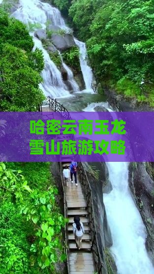 哈密去云南玉龙雪山景点
