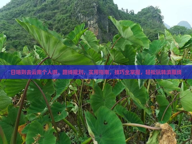 日喀则去云南个人游 日喀则去云南个人游