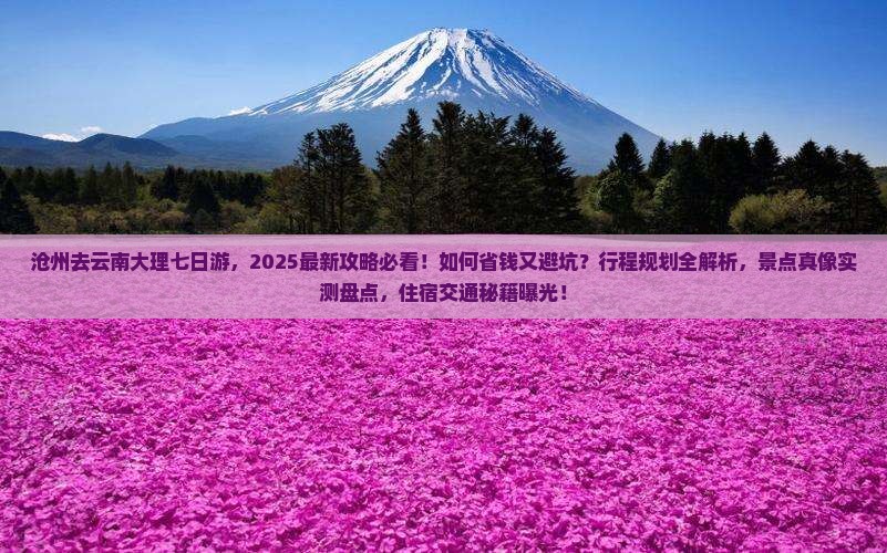 沧州去云南大理七日游