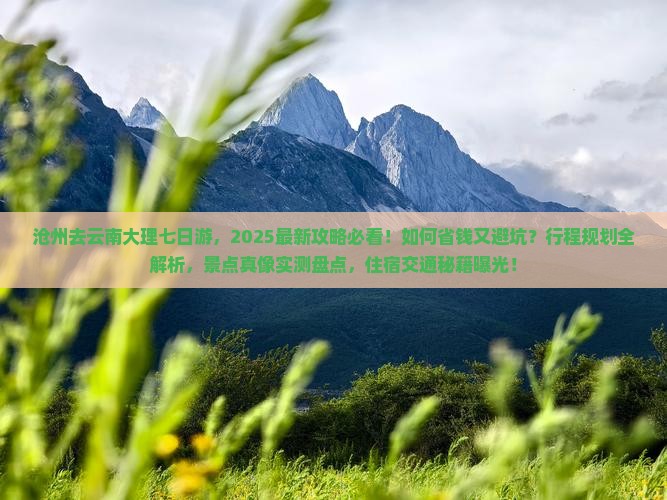 沧州去云南大理七日游