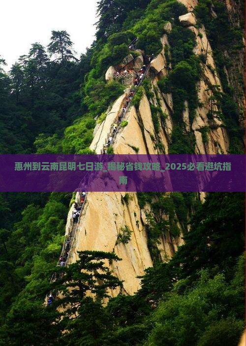 惠州到云南昆明七日游