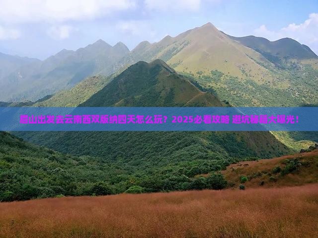眉山去云南西双版纳四日游