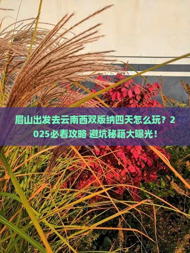 眉山去云南西双版纳四日游