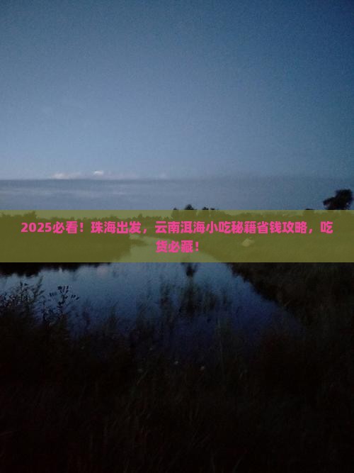珠海到云南洱海旅游小吃