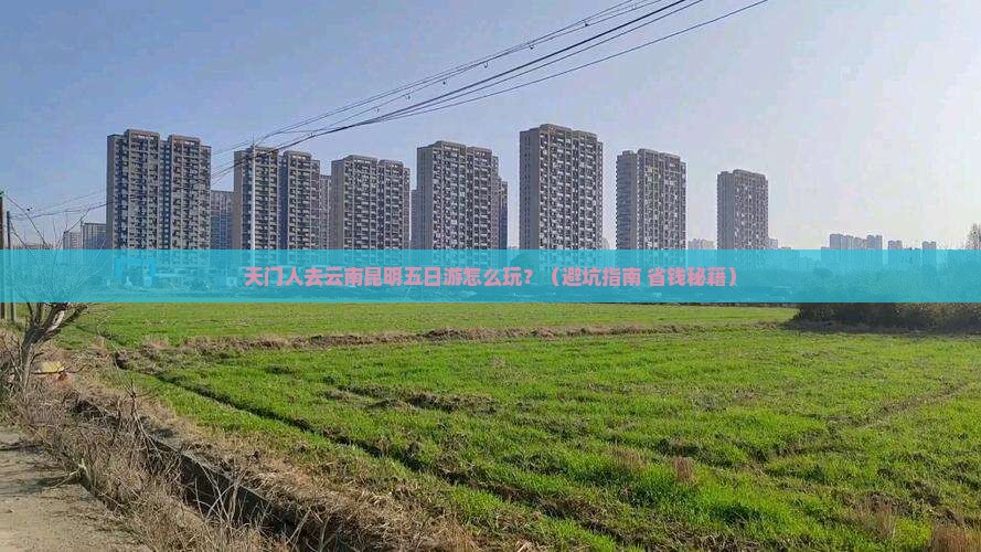 天门去云南昆明五日游