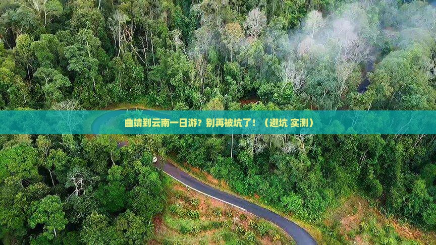 曲靖到云南一日