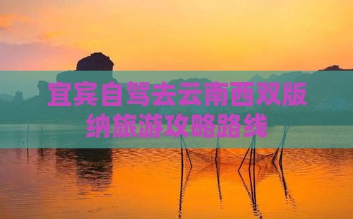 宜宾去云南西双版纳攻略